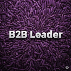 b2b leader